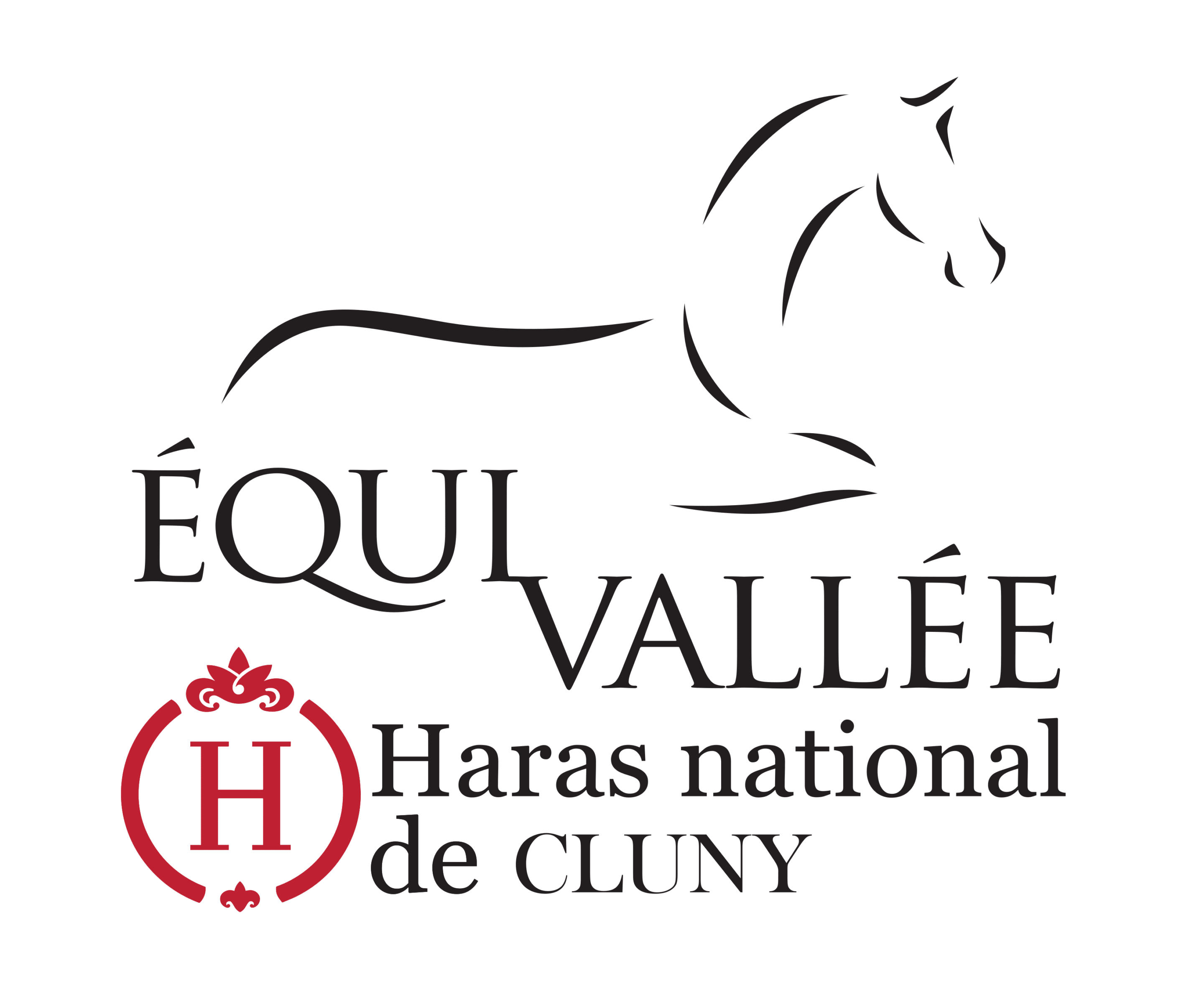 Equi Vallée - Cluny - Logo
