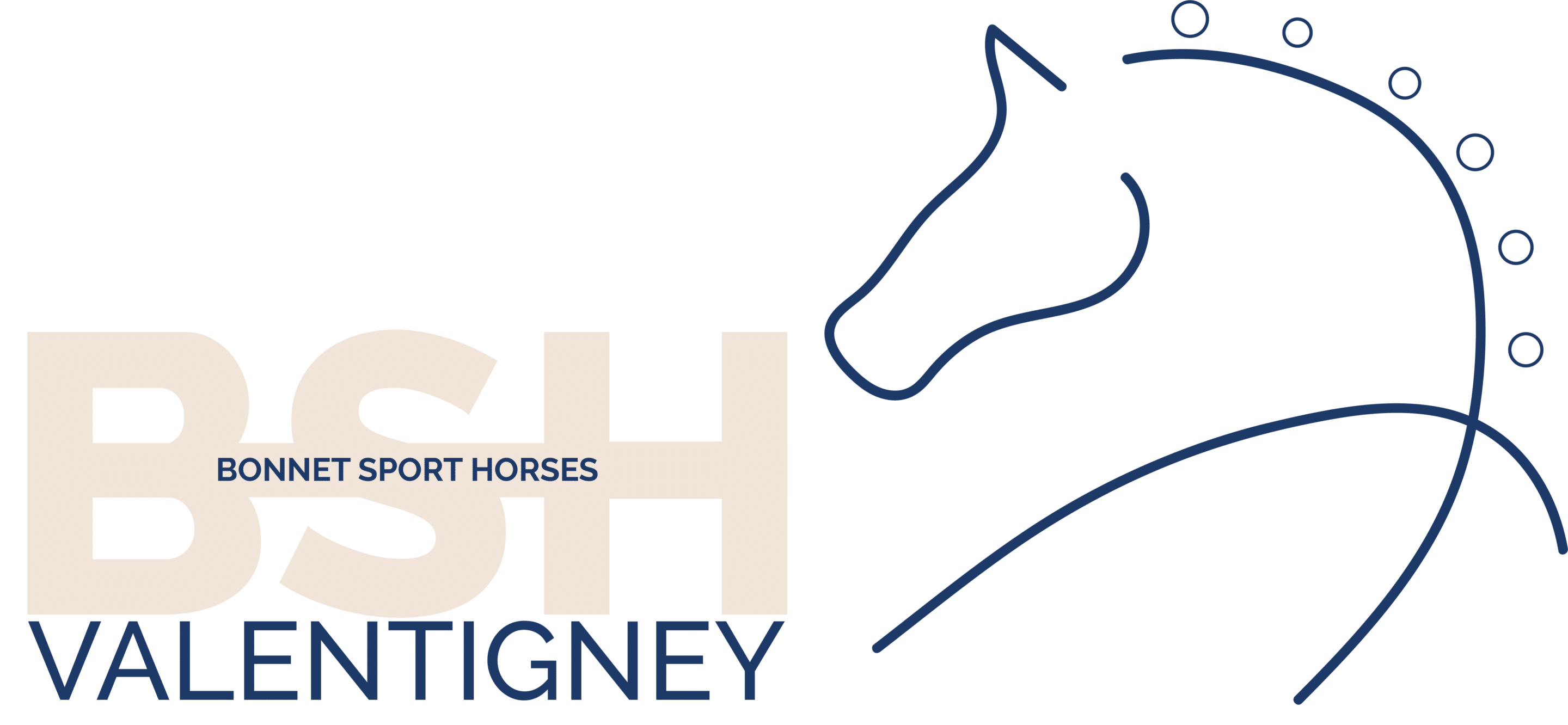 BSH Valentigney - Logo