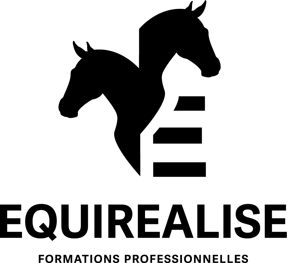 Logo EQUIREALISE