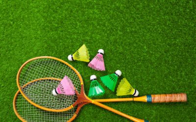 DEJEPS Perfectionnement Sportif Badminton