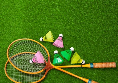 DEJEPS Perfectionnement Sportif Badminton
