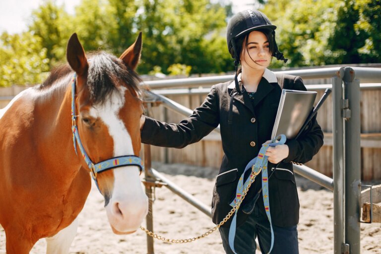 CS éducation des jeunes chevaux
