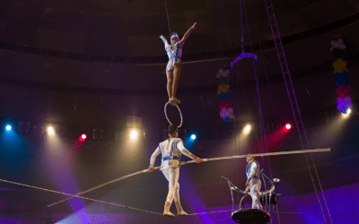 BPJEPS Activités du cirque