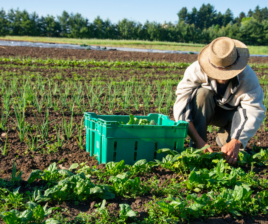 formation aide au financement vivea