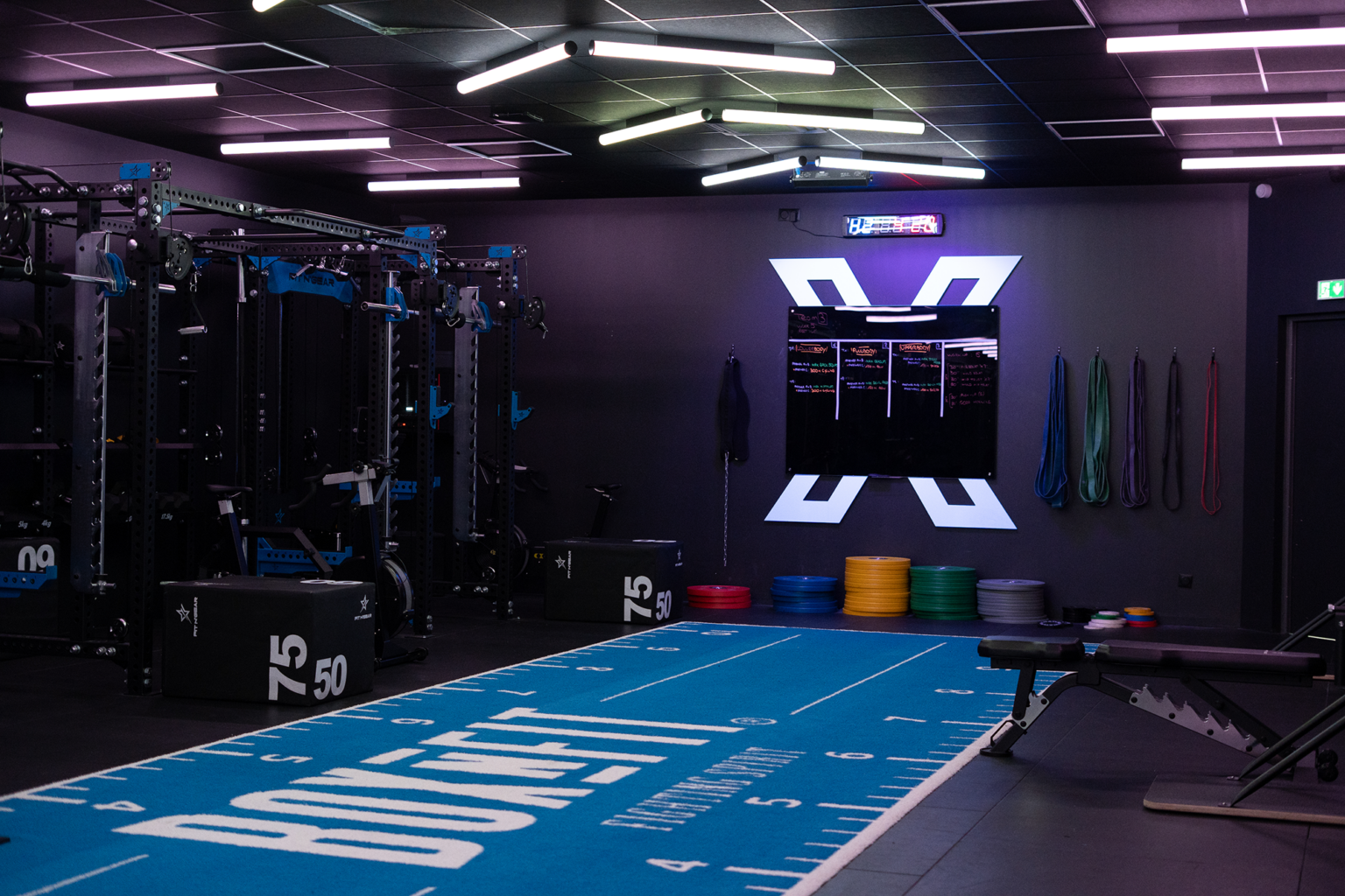 Salle de musculation moderne et sombre avec éclairage LED violet et blanc, grands miroirs couvrant un mur, cages à squat et racks noirs chargés de barres et poids, bancs, haltères, rameurs Concept2, sol bleu marqué 'BOXFIT' et zones numérotées pour les exercices.