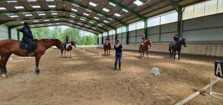 equit academie formapi formation